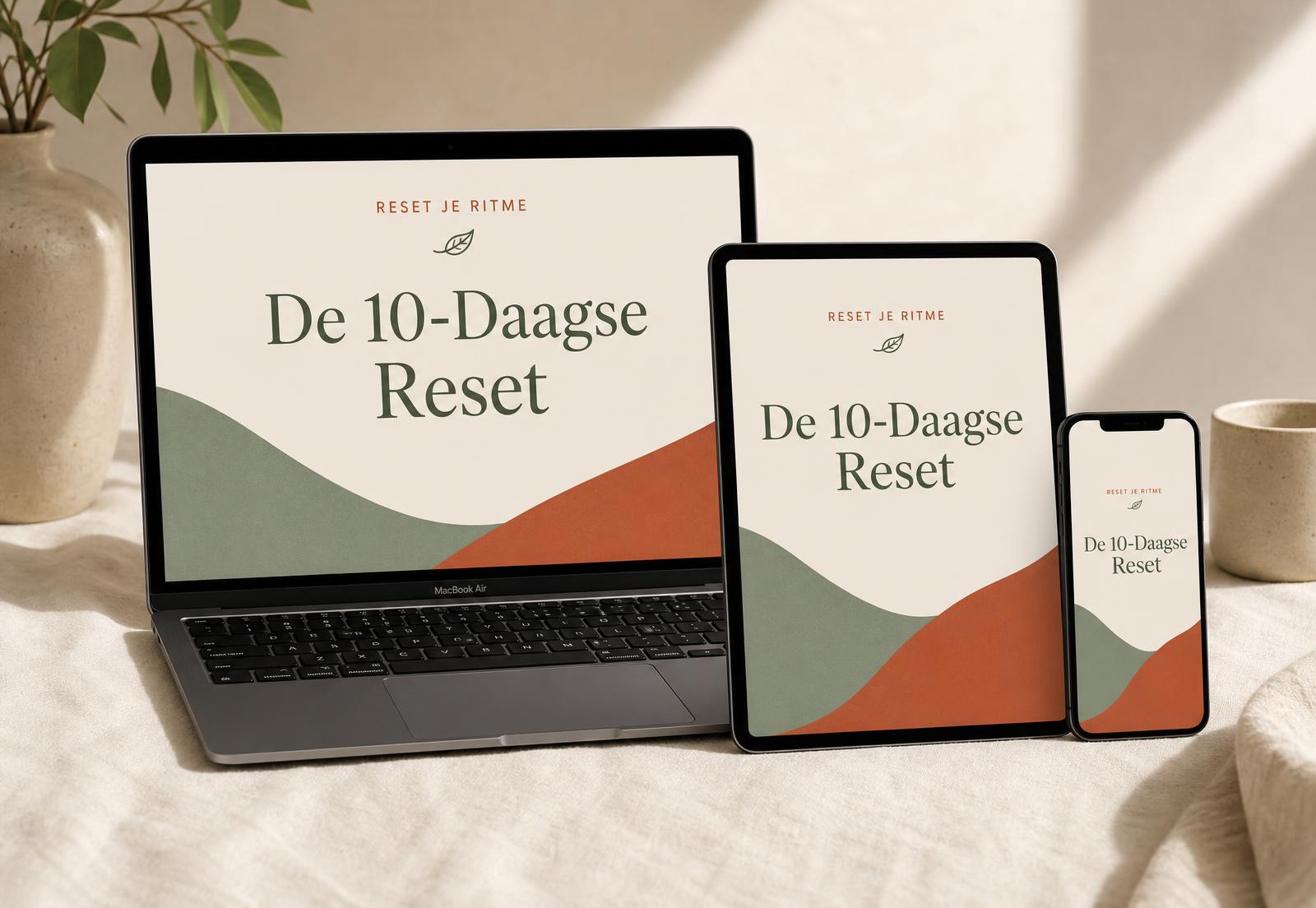 E-book en audioboek van De 10-Daagse Reset